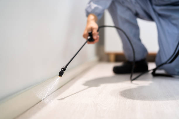 Licensed Mosquito Control service in Marine City, MI - Nex Pest Control
