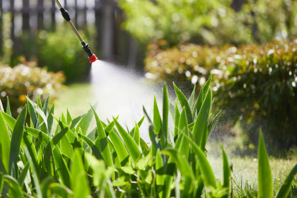 24/7 Emergency Mosquito Control experts in Marine City, MI