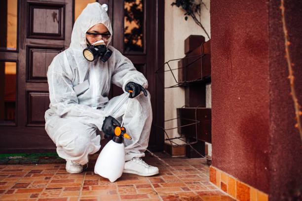 Reliable Mosquito Control contractor in Marine City, MI by Nex Pest Control