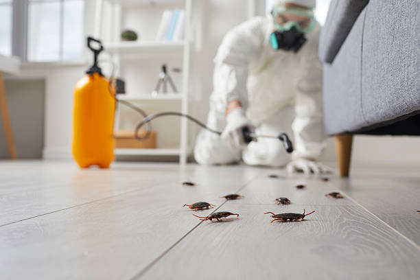 Trusted Bed Bug Control service in Marine City, MI - Nex Pest Control