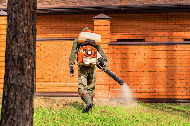 Trusted Rodent Control service in Marine City, MI - Nex Pest Control